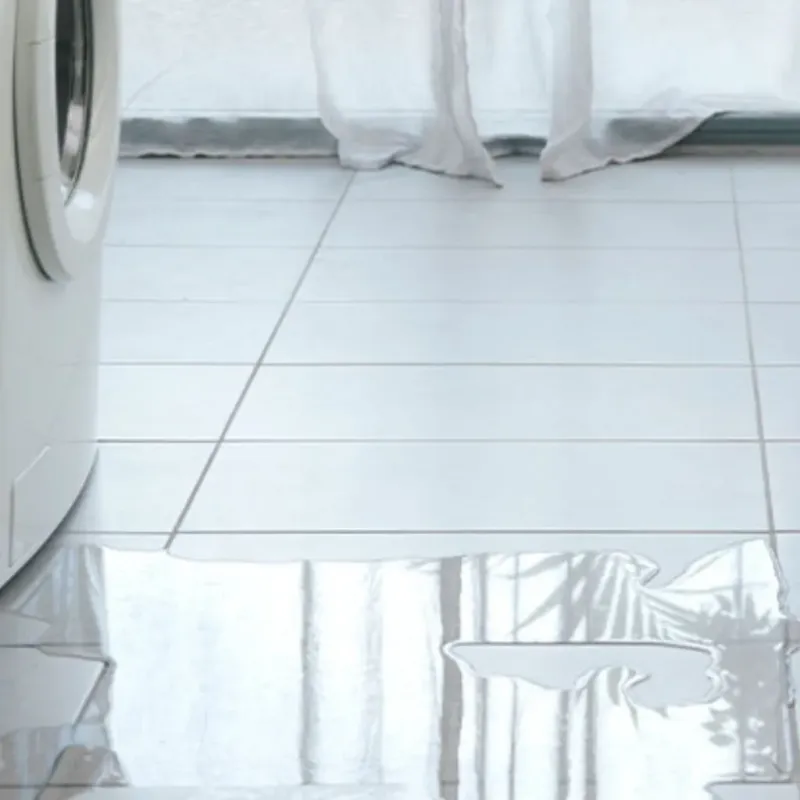 Appliance Leak Cleanup in Pleasant Hill, OH