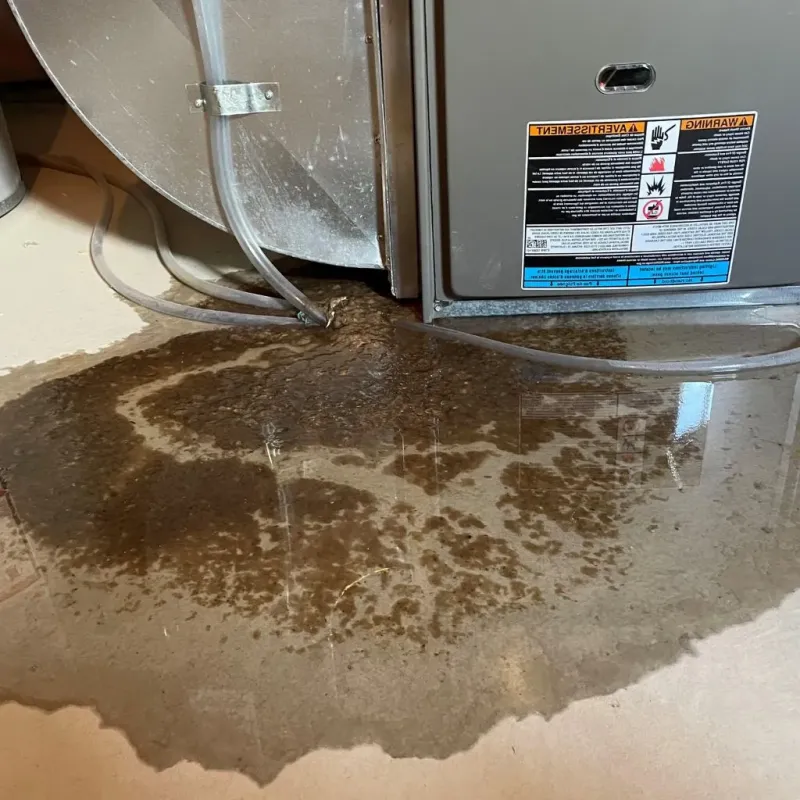 Pipe Burst and Leak Restoration in Pleasant Hill, OH