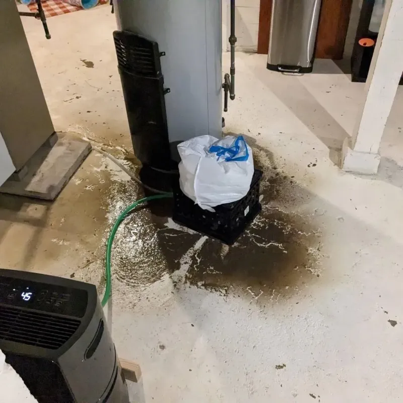 Sewage Backup Cleanup Service in Pleasant Hill, OH